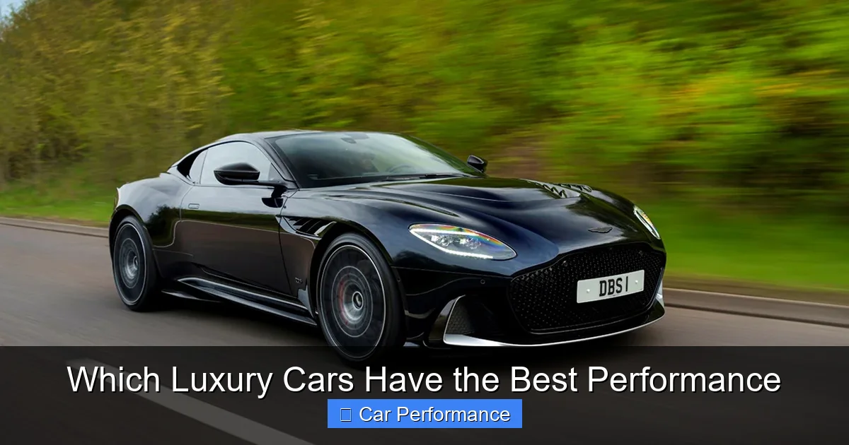 Which Luxury Cars Have the Best Performance