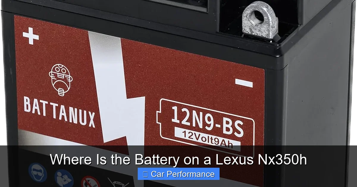 Locating the 12V Battery in the Cargo Area