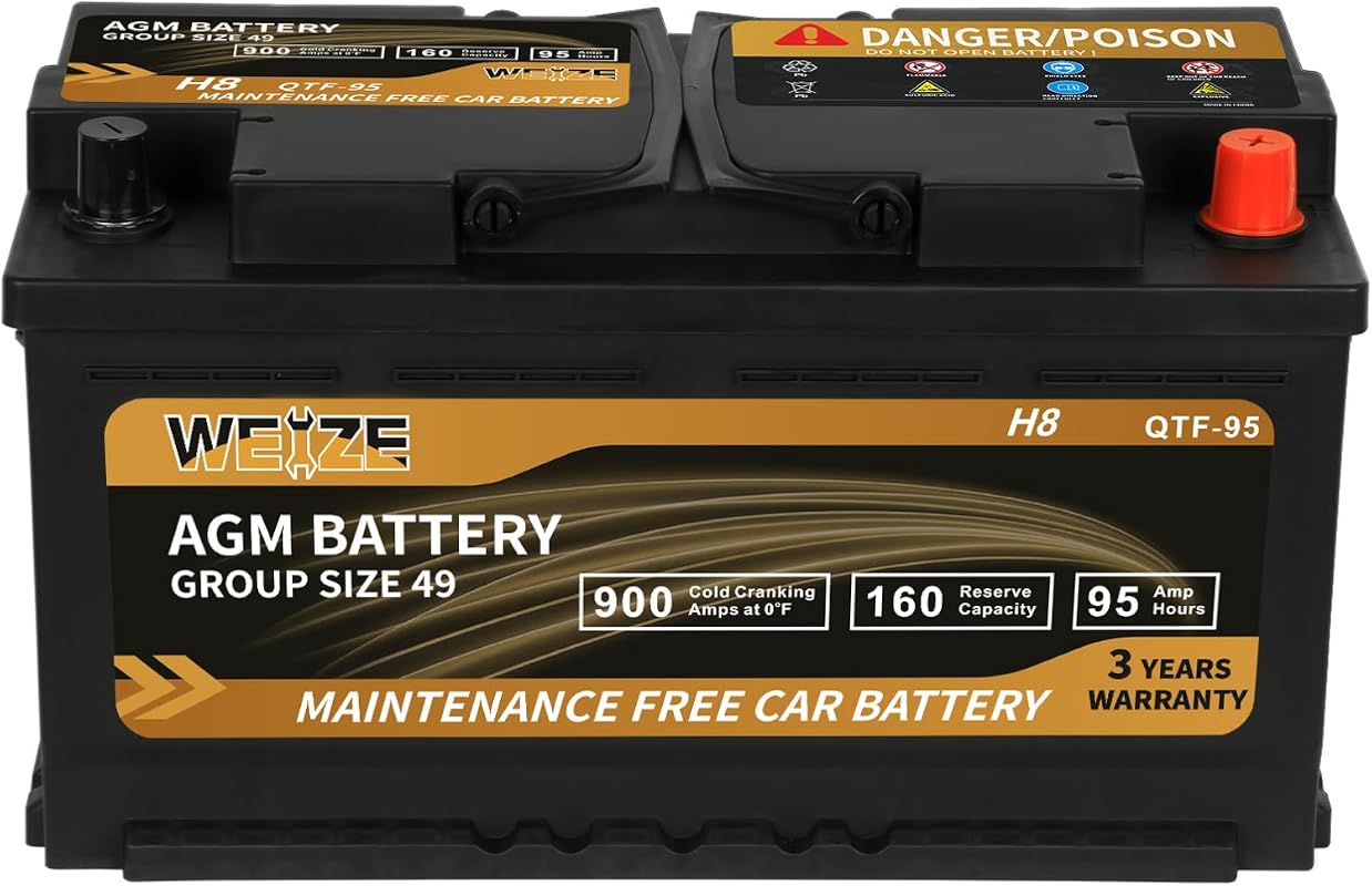 Weize Platinum Group 49 AGM Battery