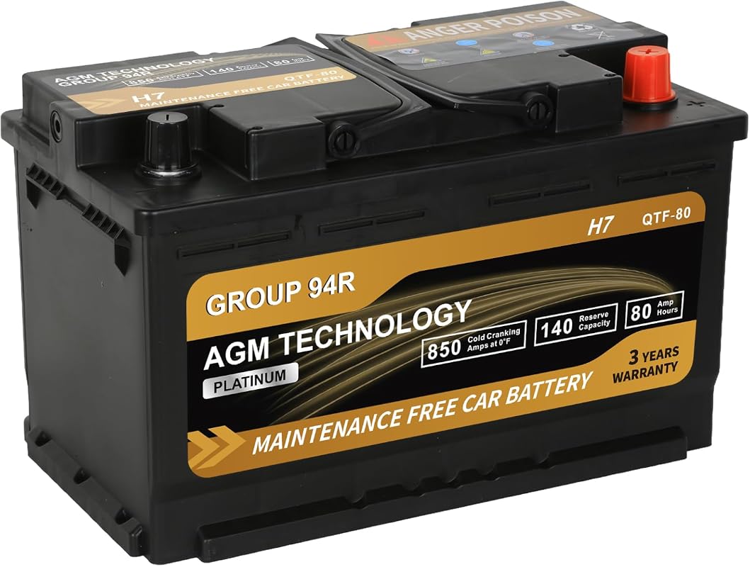 Platinum AGM Car Battery